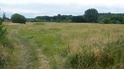 Nutbank common
